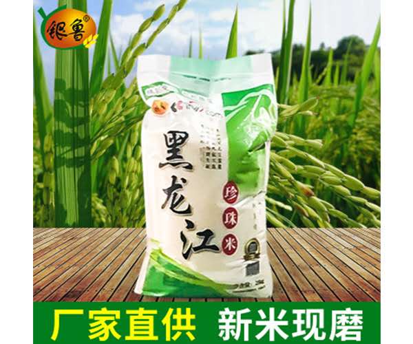 東北珍珠米
